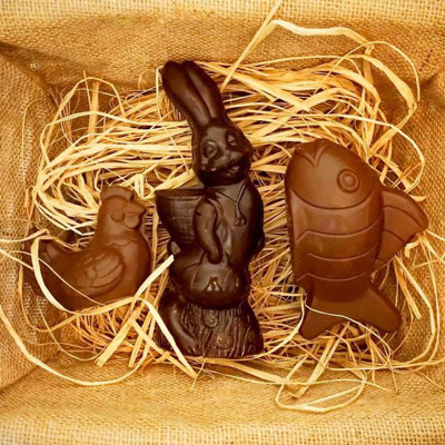 Chocolate Fish and Rabit